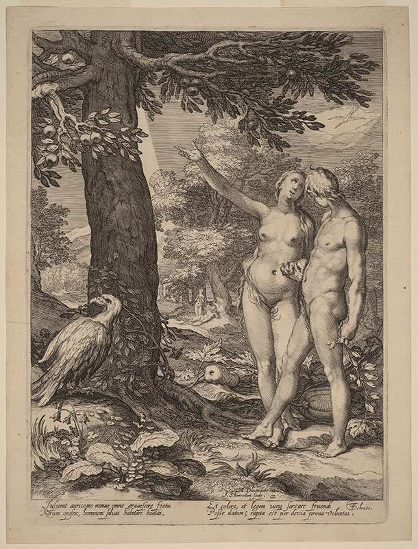 adam and eve before the tree of knowledge saenredam