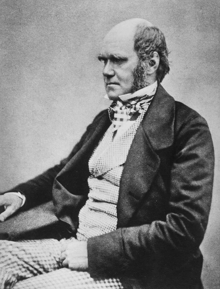 darwin seated photograph