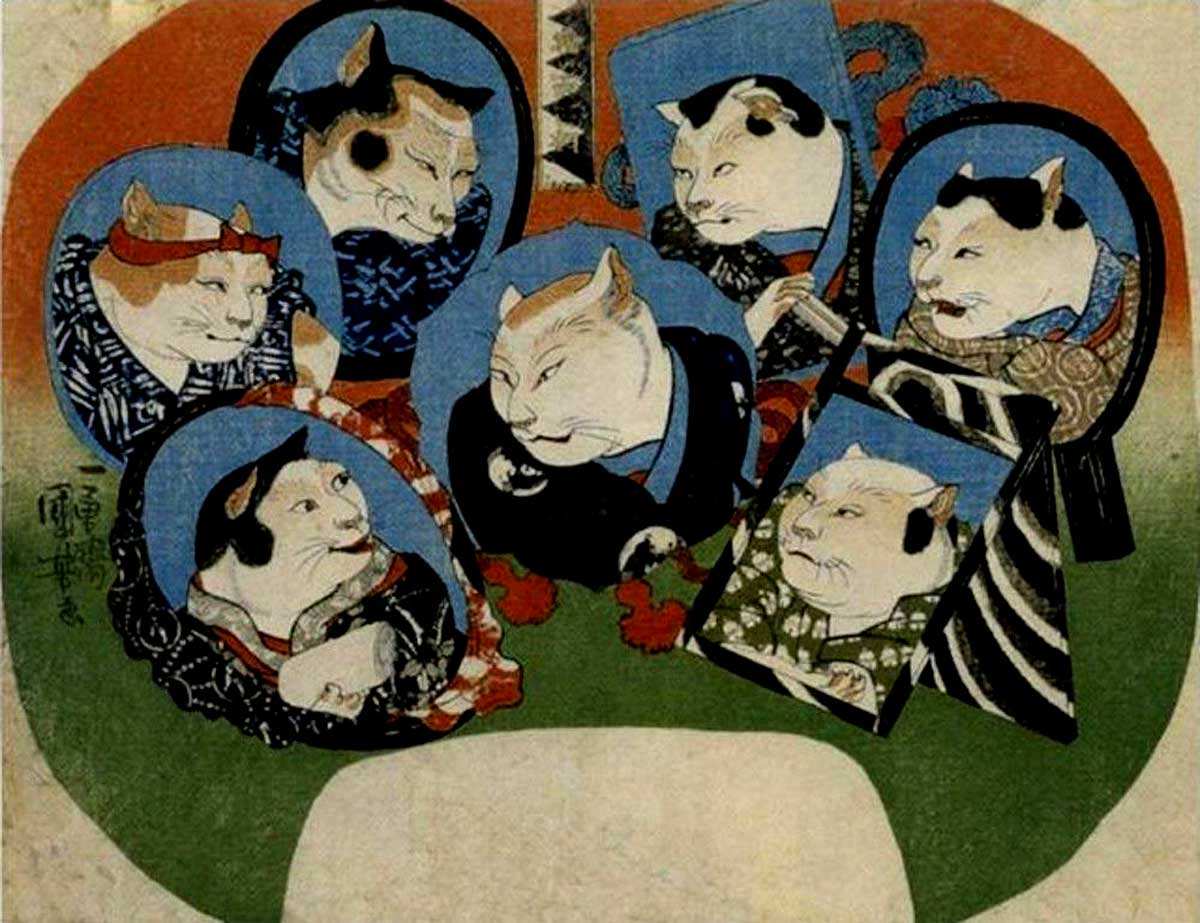 kabuki cats