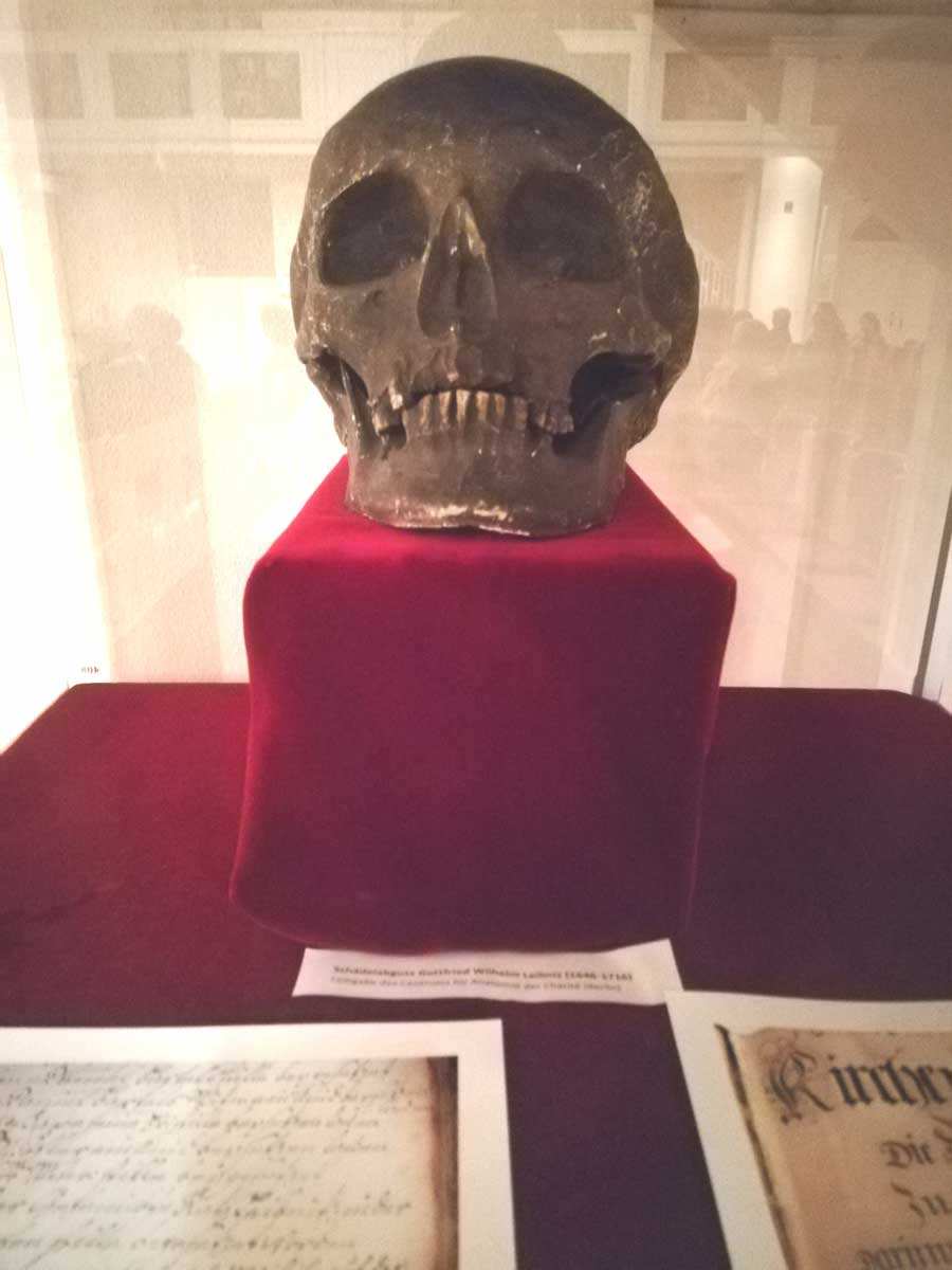 leibniz skull photograph