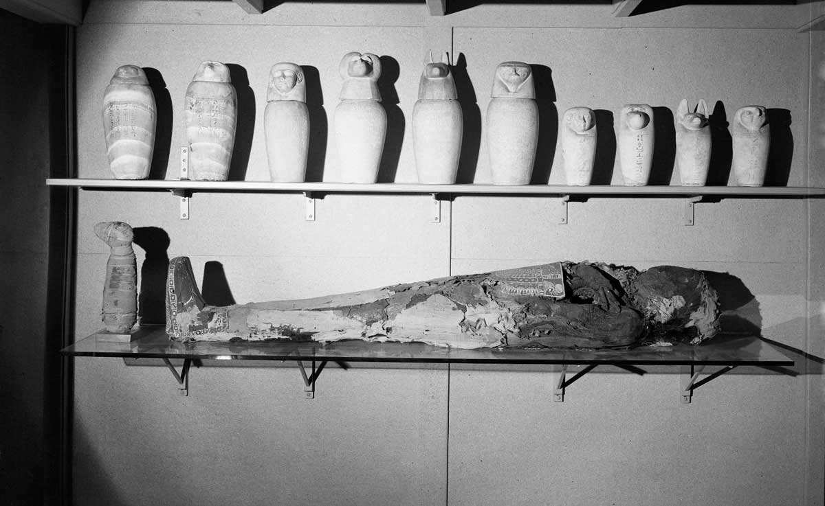 mummy museum shelf black white canopic jars pennsylvania