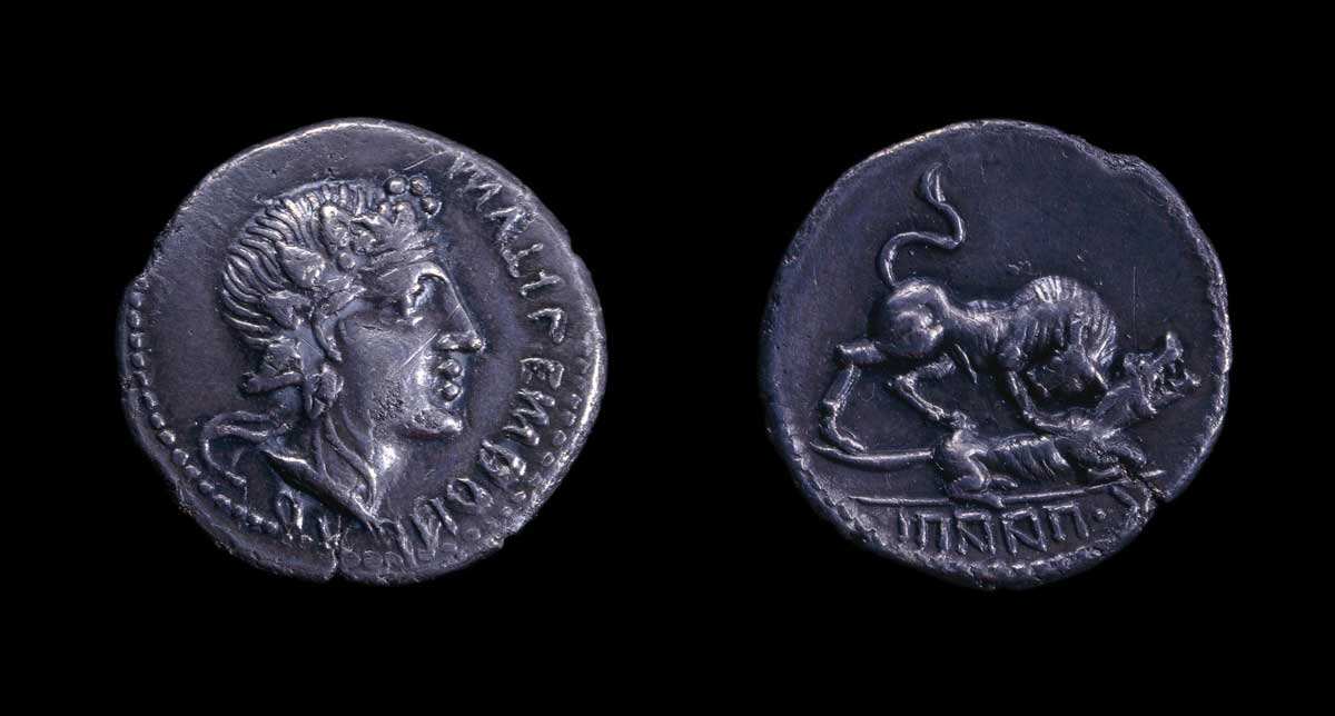 mutilus samnite denarius bull she wolf britishmuseum