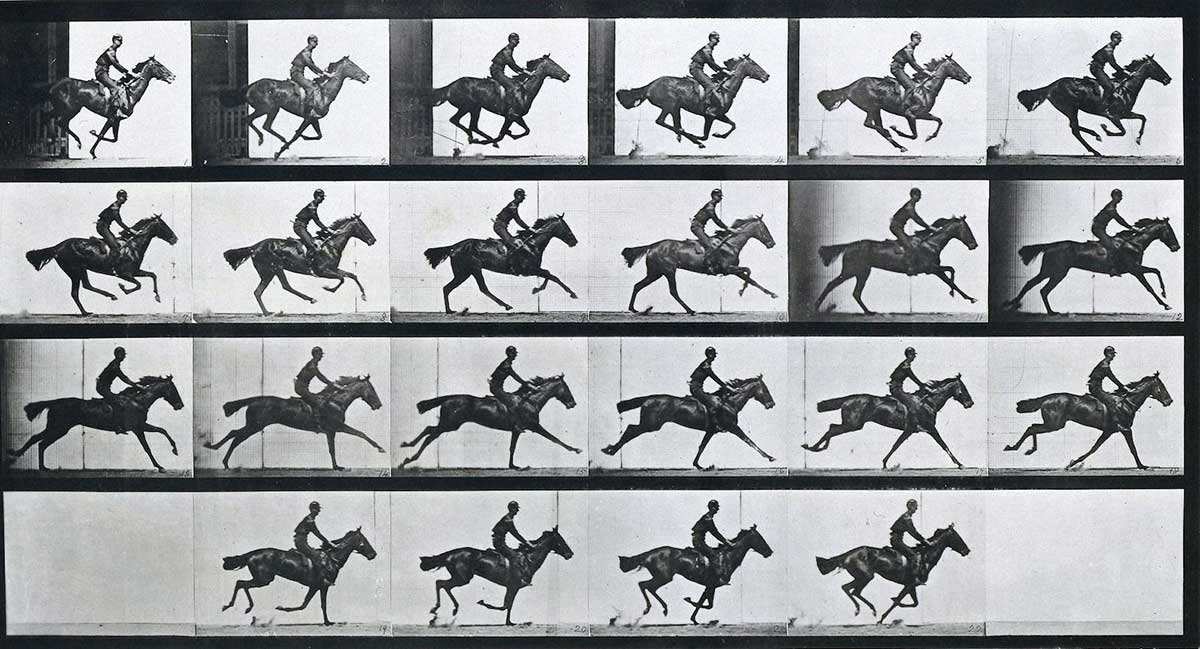 Eadweard Muybridge horses gallop photograph