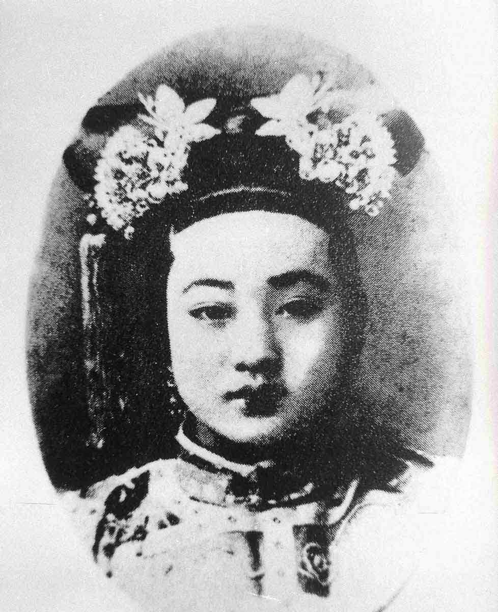 portrait consort zhen imperial harems