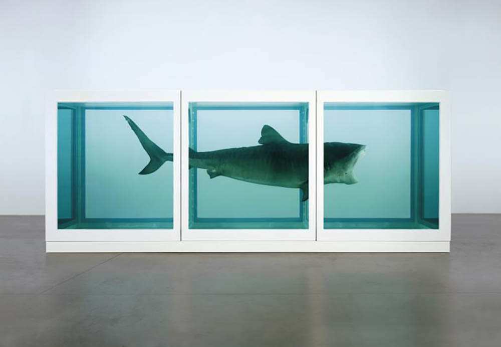 shark sculpture damien hirst