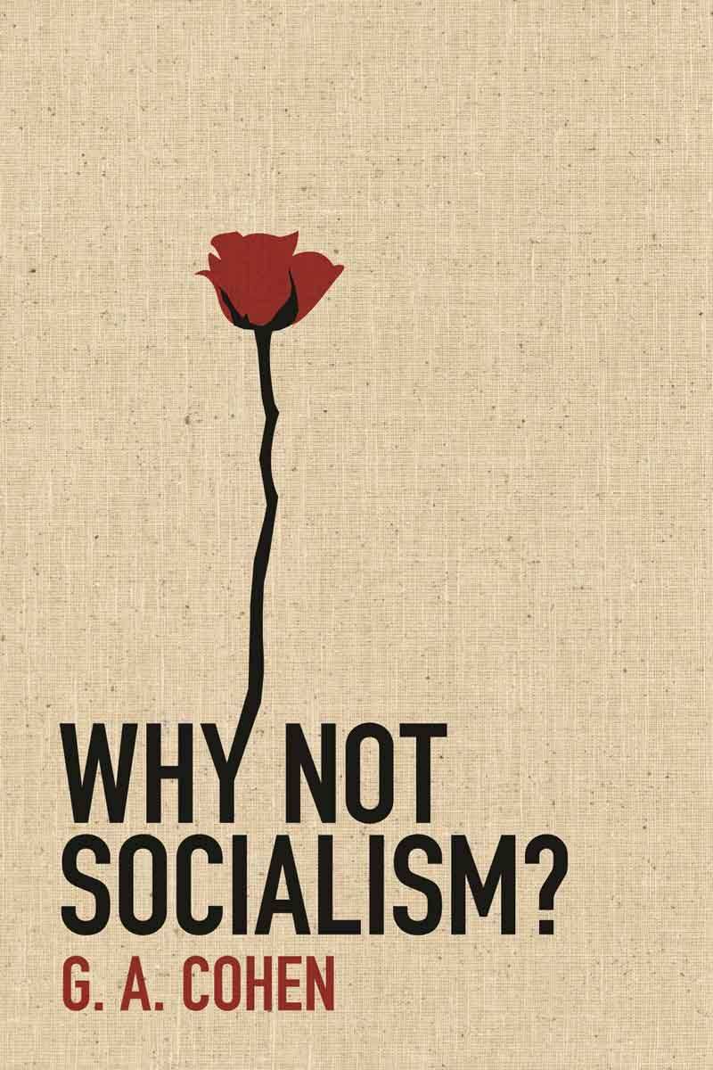 why not socialism front cover