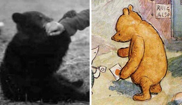 winnie the pooh and winnie real life bear ww1