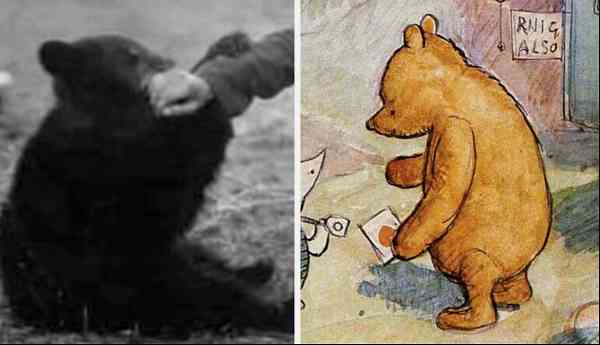 winnie the pooh and winnie real life bear ww1